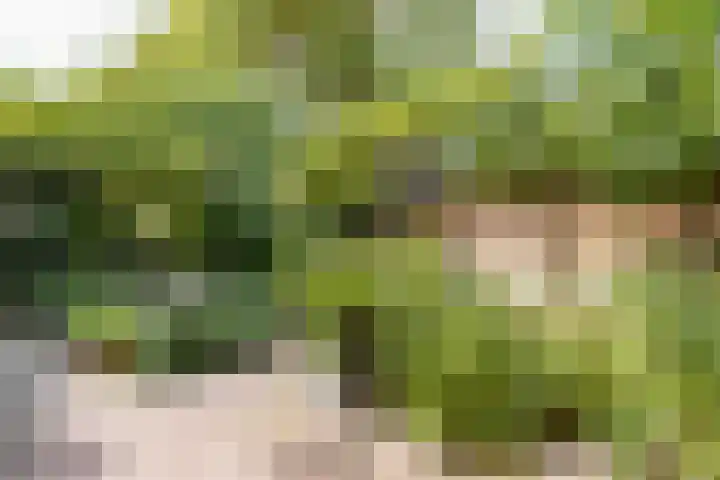 Steenweg 7 Haaften thumbnail 74