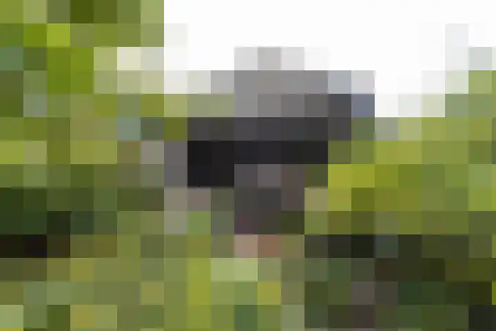 Steenweg 7 Haaften thumbnail 75