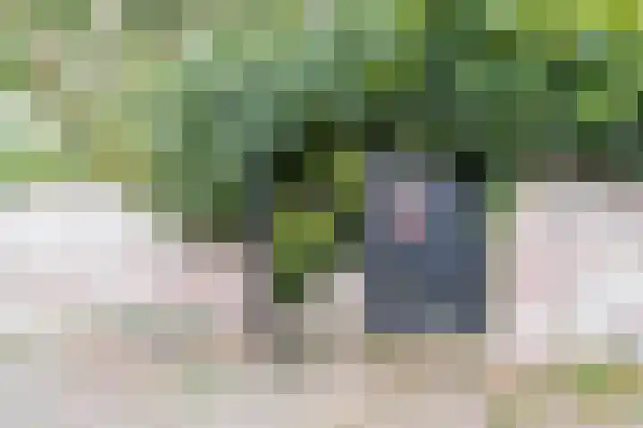 Steenweg 7 Haaften thumbnail 77
