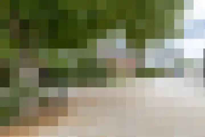 Steenweg 7 Haaften thumbnail 78