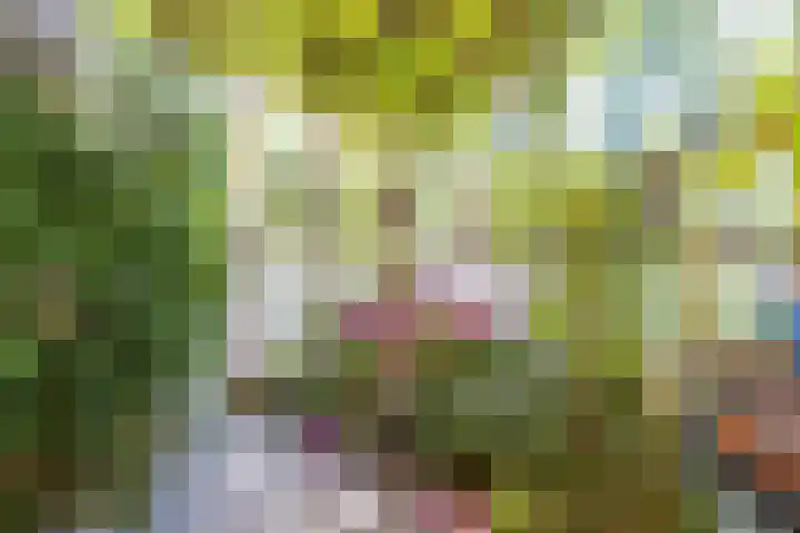 Steenweg 7 Haaften thumbnail 8