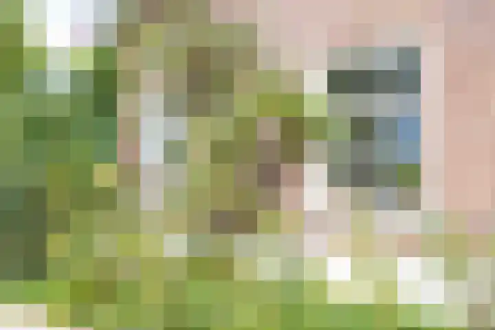 Steenweg 7 Haaften thumbnail 81