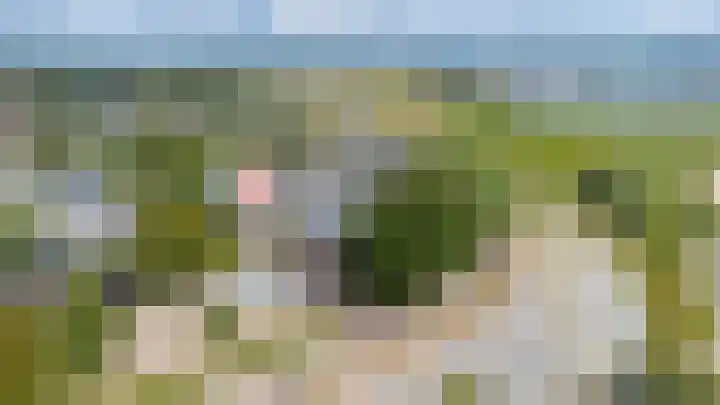 Steenweg 7 Haaften thumbnail 82