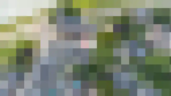 Steenweg 7 Haaften thumbnail 83
