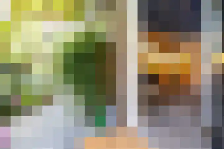 Steenweg 7 Haaften thumbnail 9