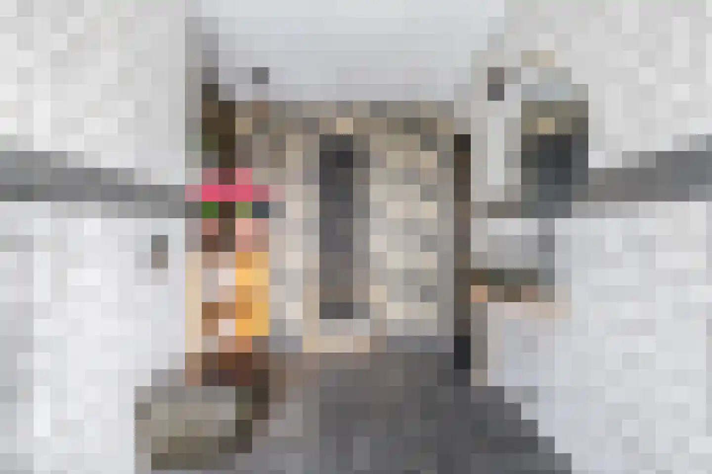 Steenweg 71 Moerdijk thumbnail 34