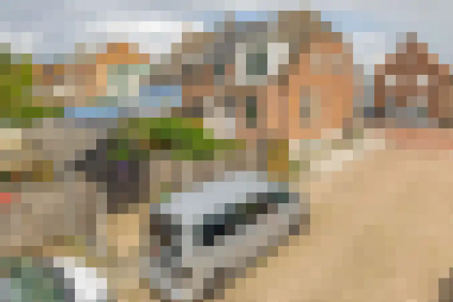 Steenweg 71 Moerdijk thumbnail 38