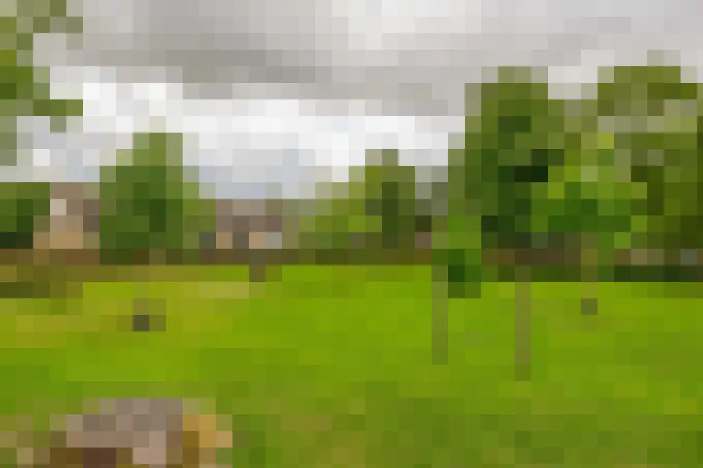 Steenweg 71 Moerdijk thumbnail 39