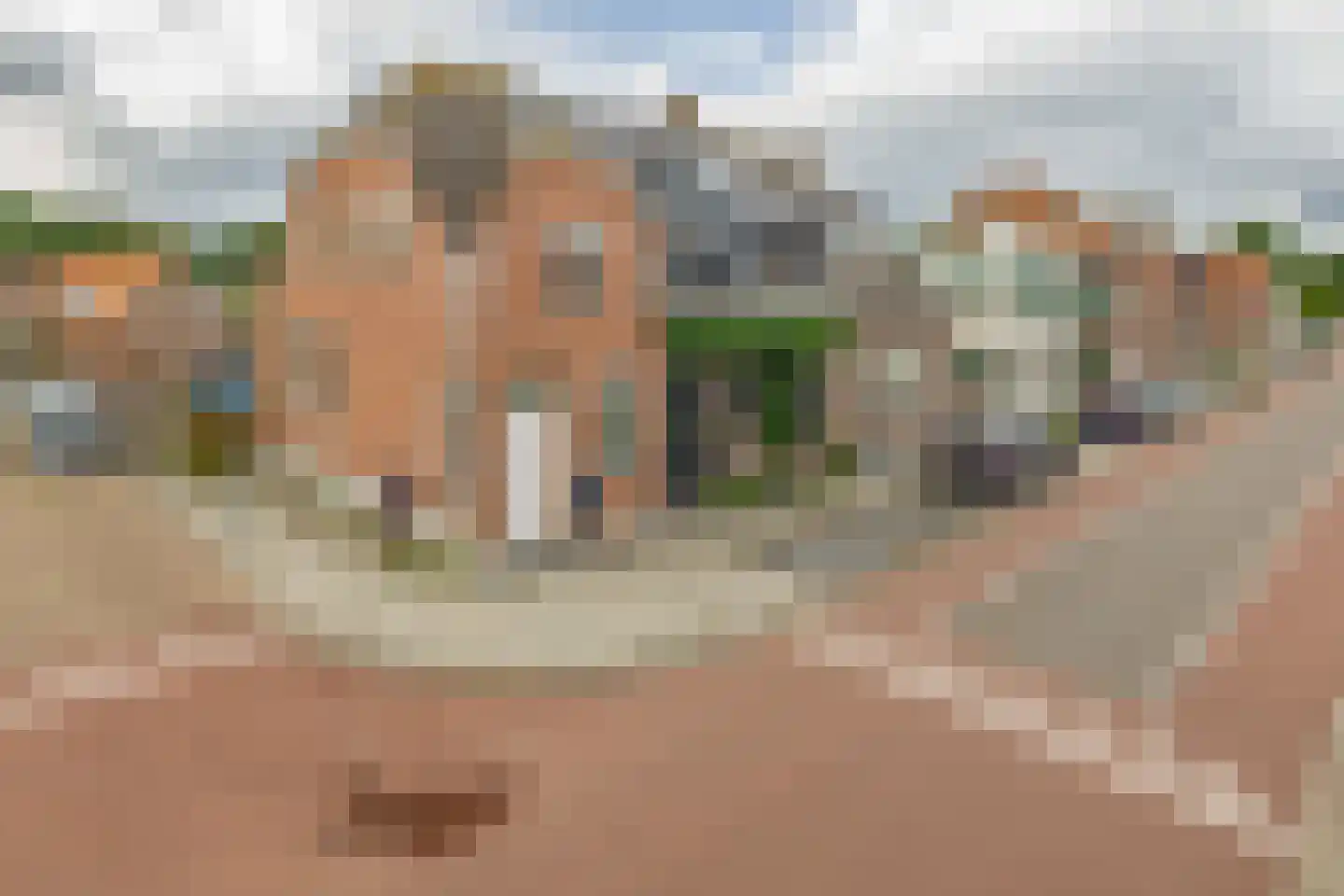Steenweg 71 Moerdijk thumbnail 41