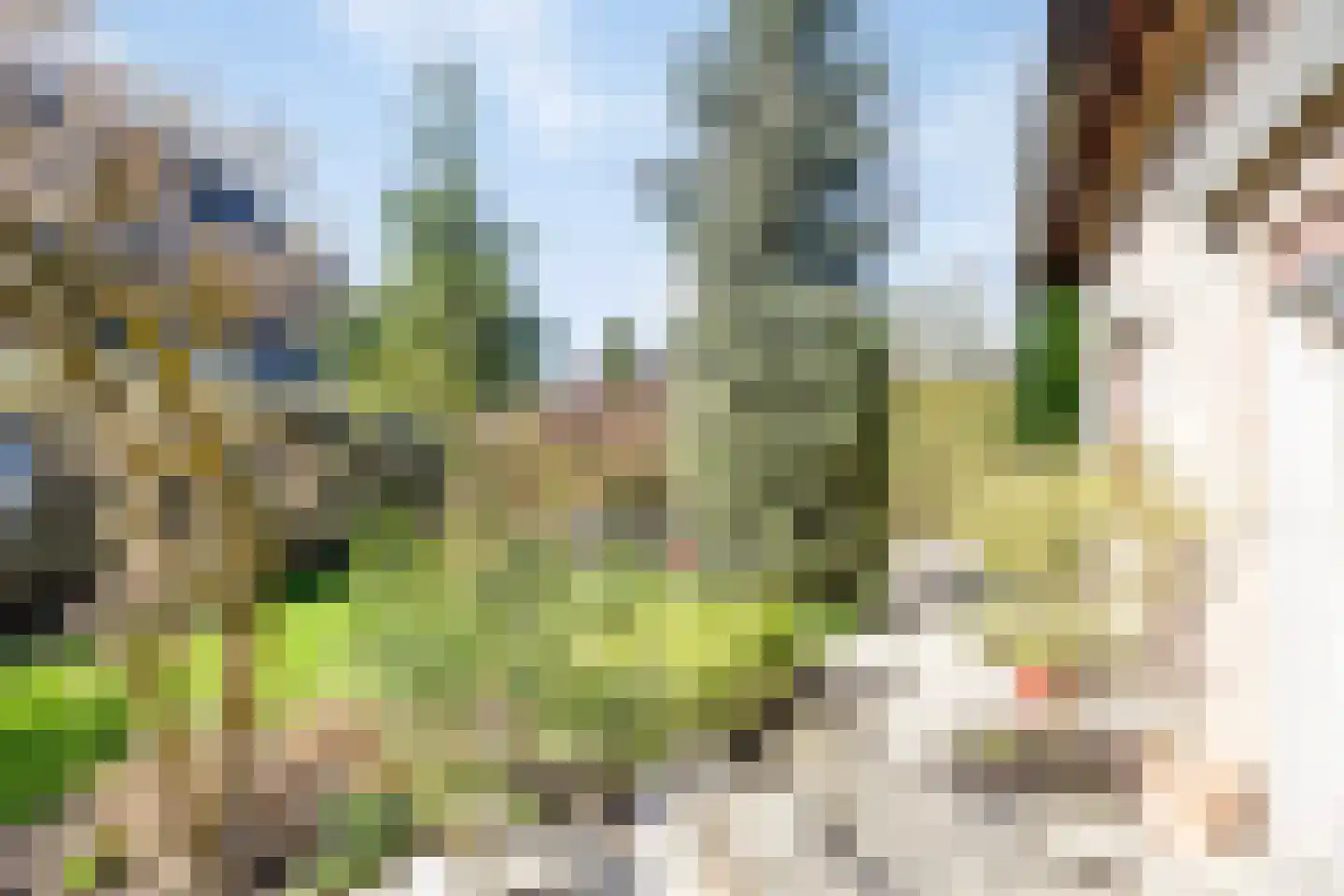 Steenweg 72 c Zaltbommel thumbnail 31