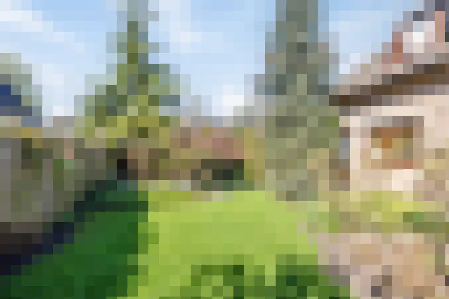 Steenweg 72 c Zaltbommel thumbnail 32