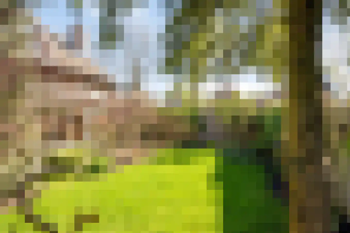 Steenweg 72 c Zaltbommel thumbnail 34