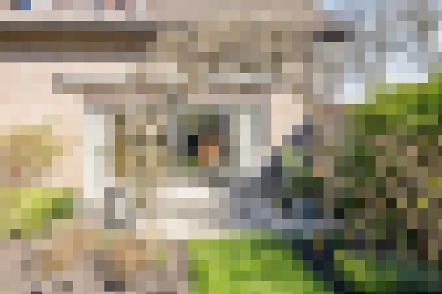 Steenweg 72 c Zaltbommel thumbnail 35