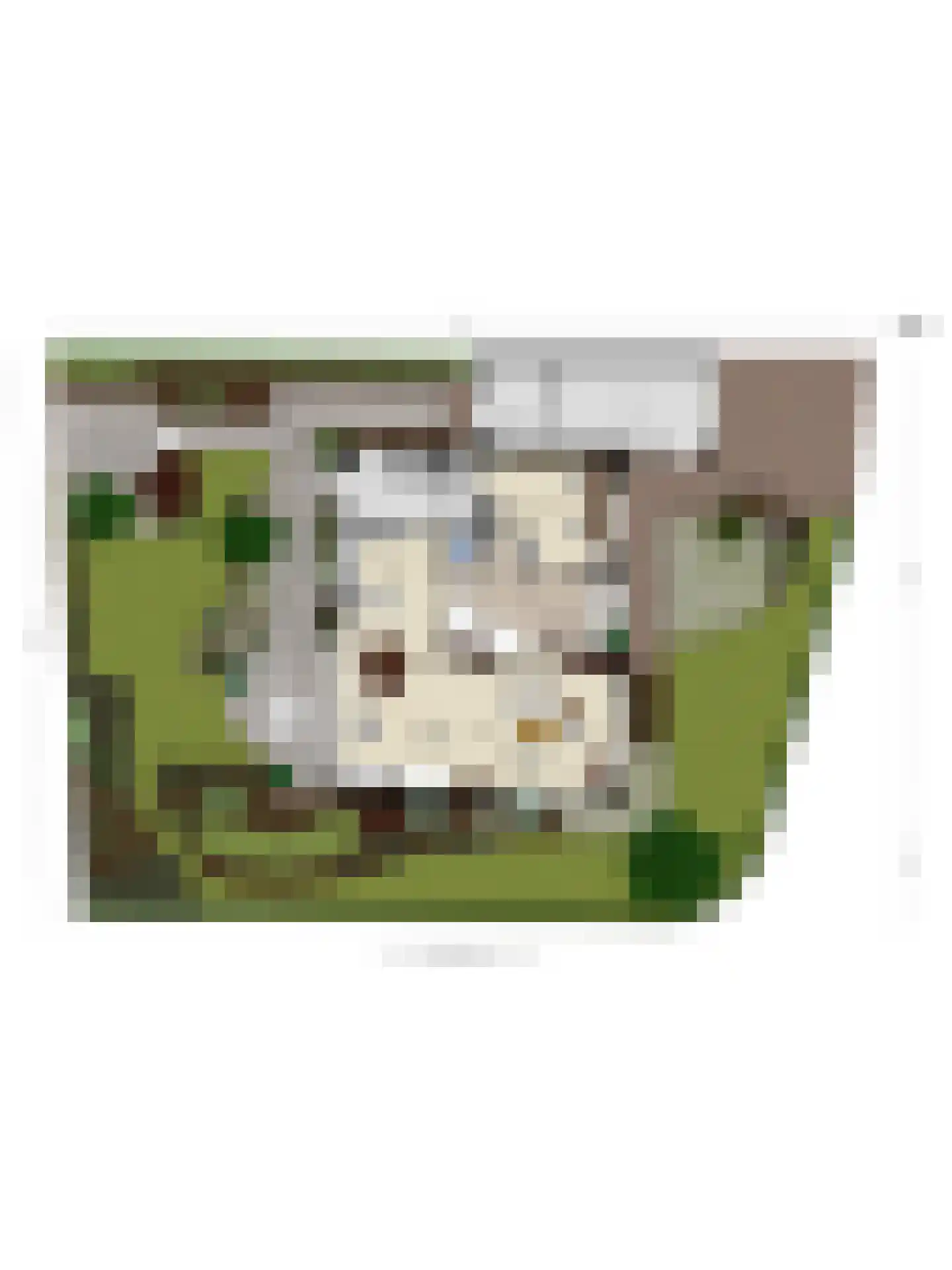 Steenweg 72 c Zaltbommel thumbnail 38