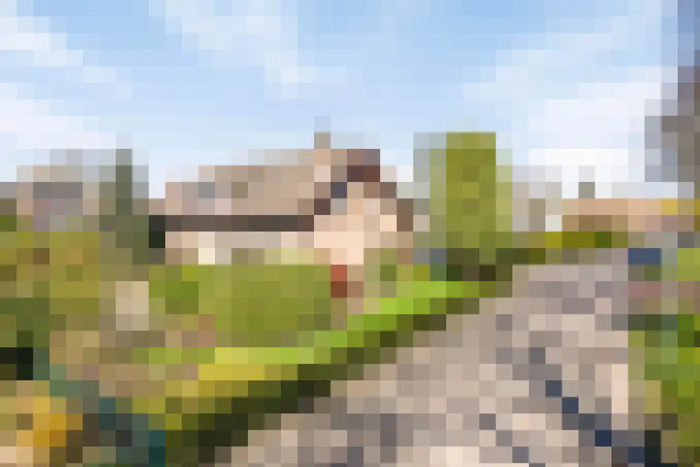 Steenweg 72 c Zaltbommel thumbnail 5