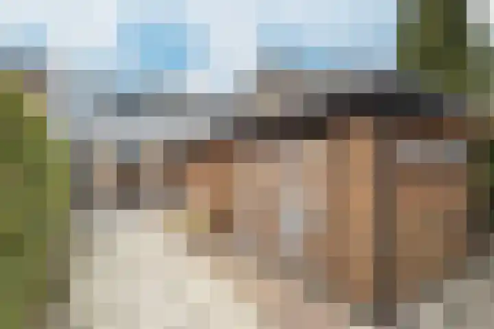 Steenweg 96 Moerdijk thumbnail 5