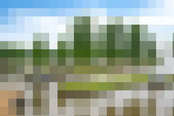 Steenwijkerdiep 126 Steenwijk thumbnail 33
