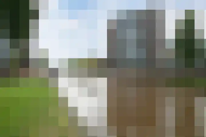 Steenwijkerdiep 126 Steenwijk thumbnail 38
