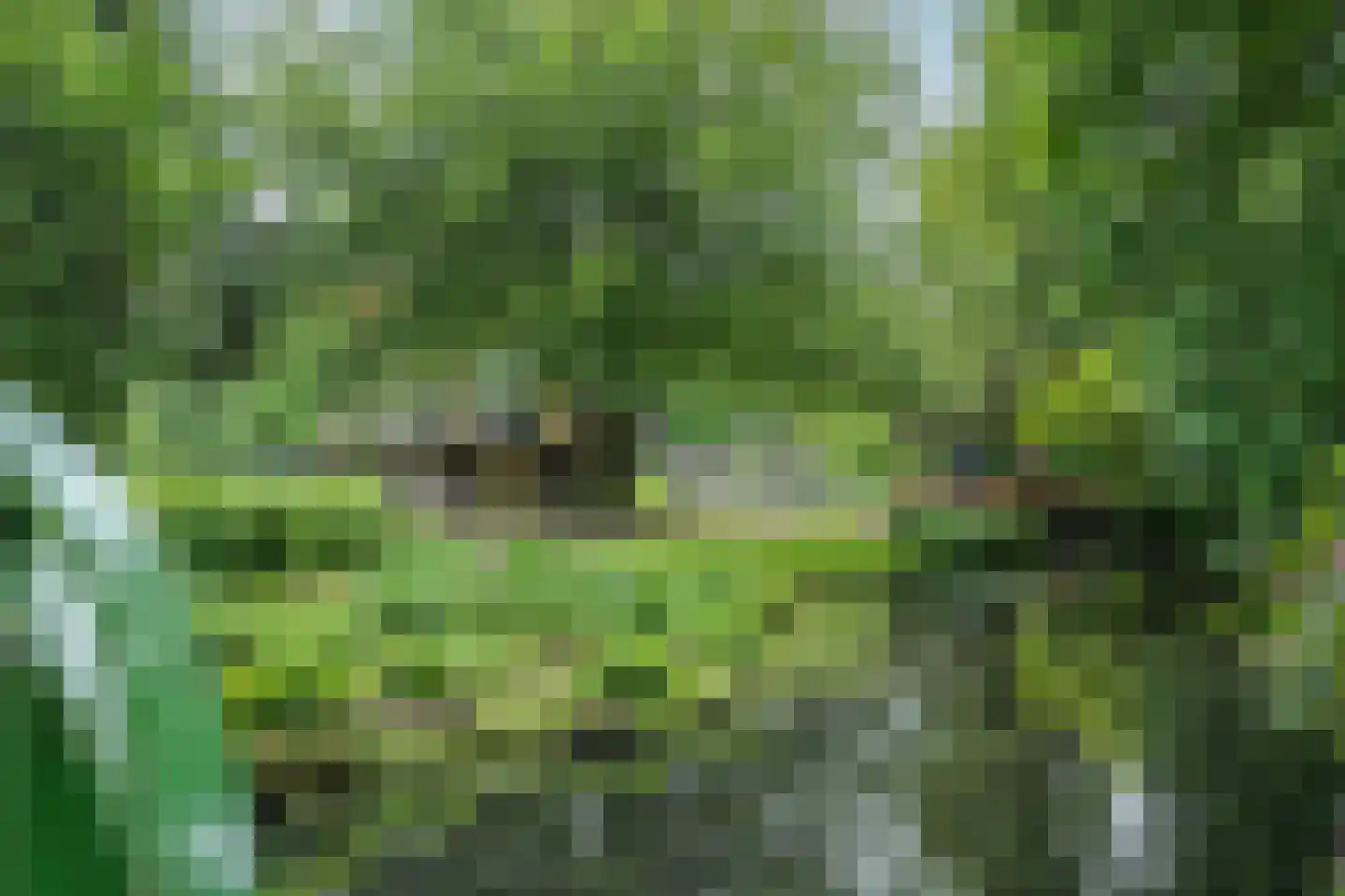 Steenwijkerdiep 19 Steenwijk thumbnail 29