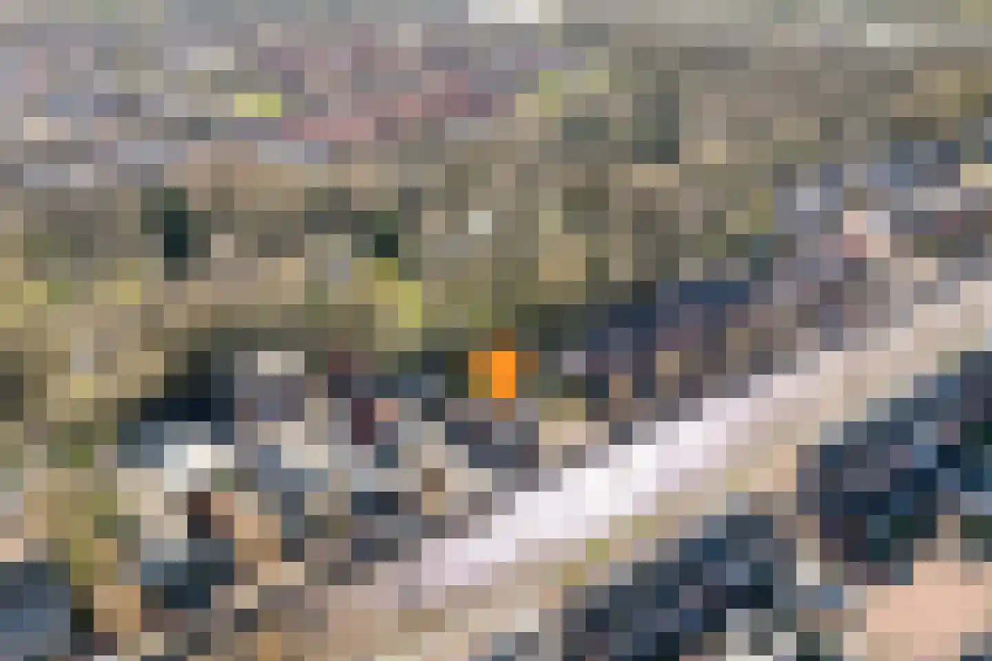 Steenwijkerdiep 85 Steenwijk thumbnail 5