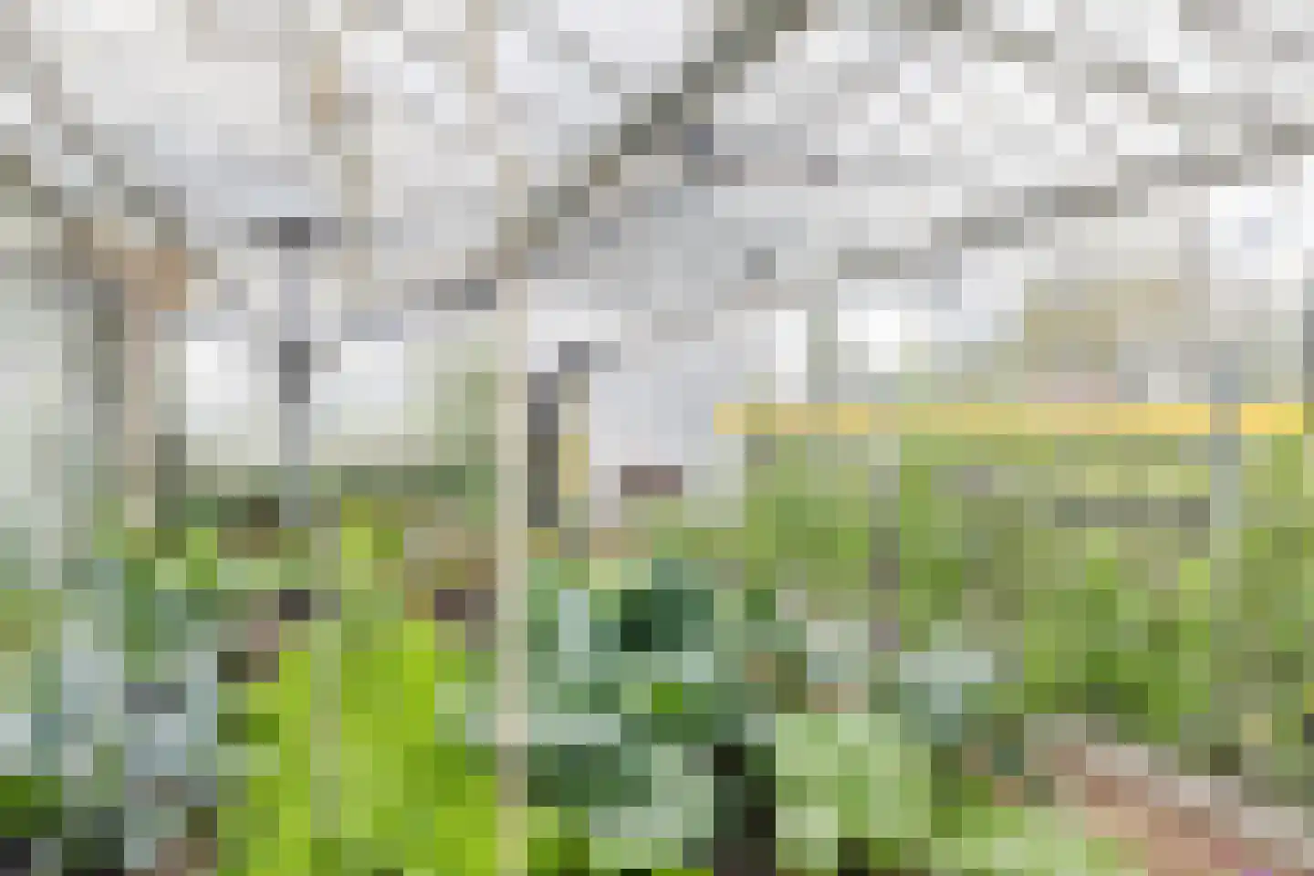 Steenwijkerdiep-Noord 1 Steenwijkerwold thumbnail 51