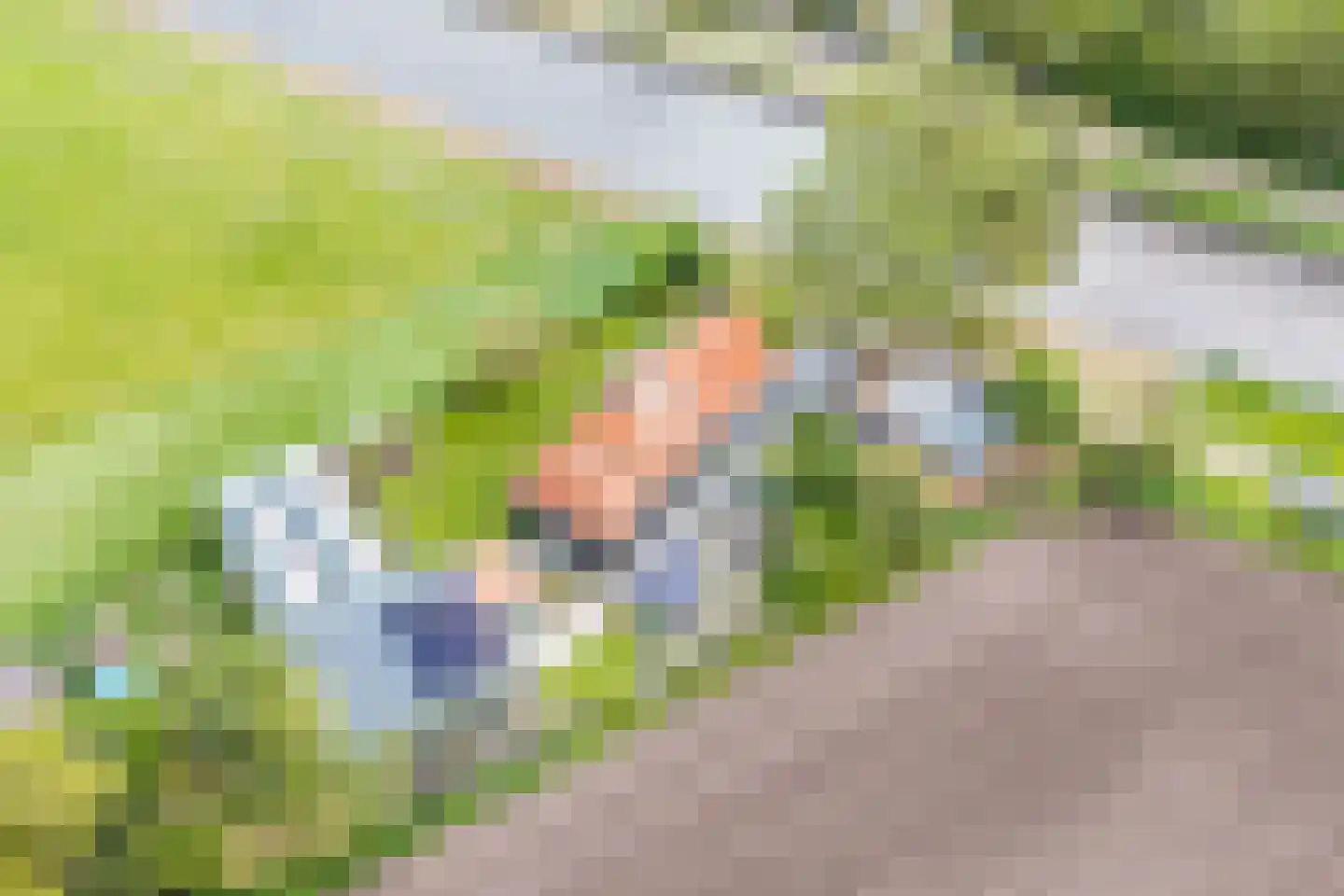Steenwijkerdiep-Noord 1 Steenwijkerwold thumbnail 64