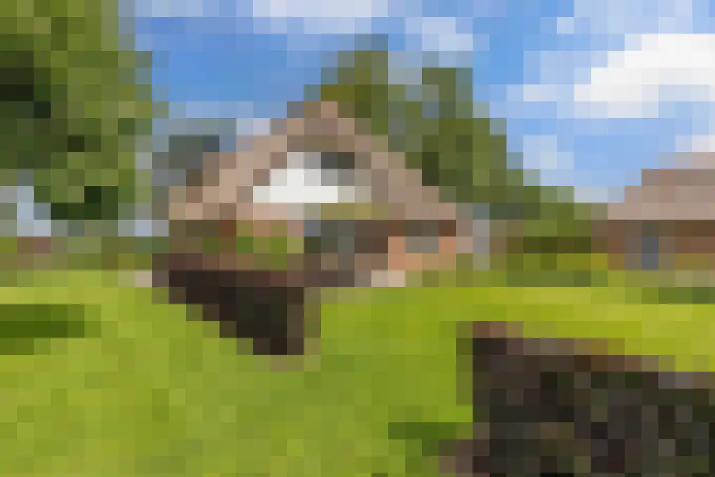 Steenwijkerdiep-Zuid 11 Scheerwolde thumbnail 42