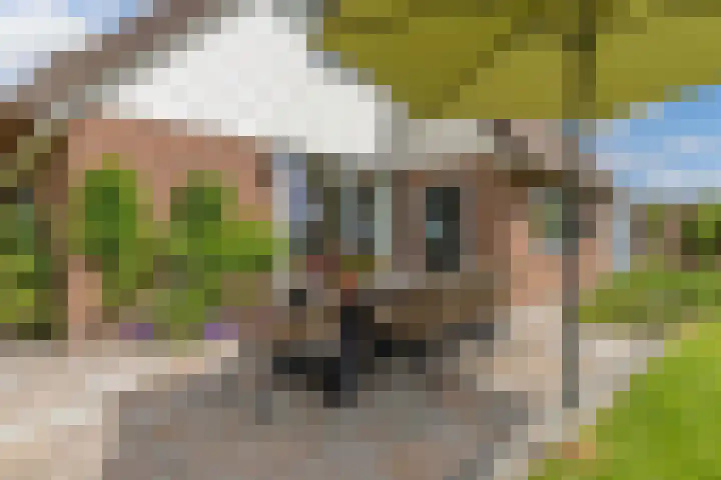 Steenwijkerdiep-Zuid 11 Scheerwolde thumbnail 44