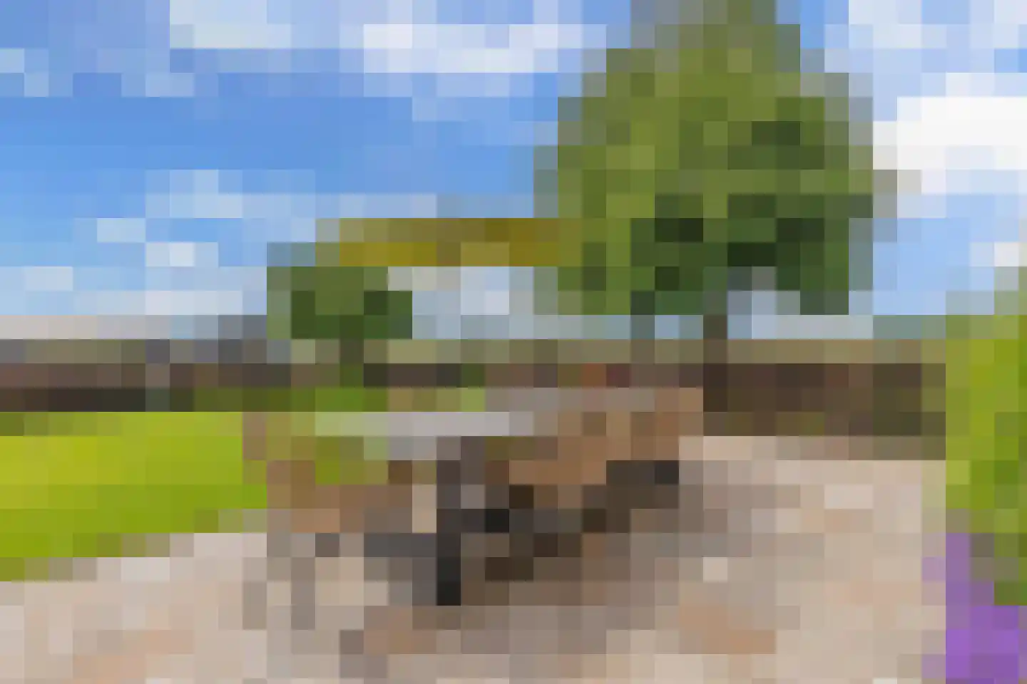 Steenwijkerdiep-Zuid 11 Scheerwolde thumbnail 46