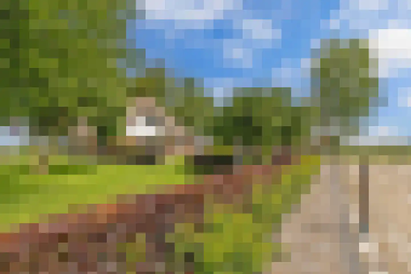 Steenwijkerdiep-Zuid 11 Scheerwolde thumbnail 78