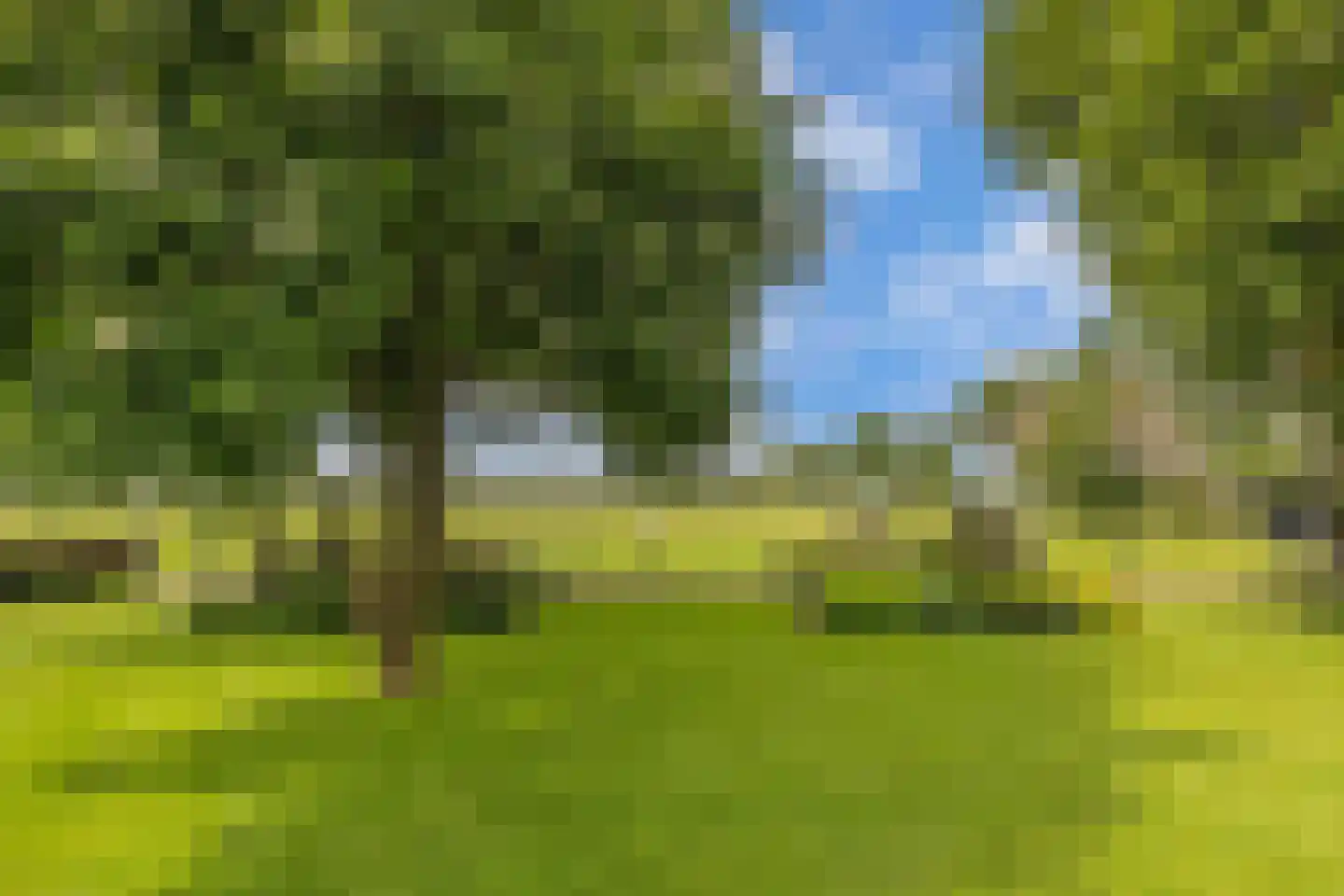 Steenwijkerdiep-Zuid 11 Scheerwolde thumbnail 83