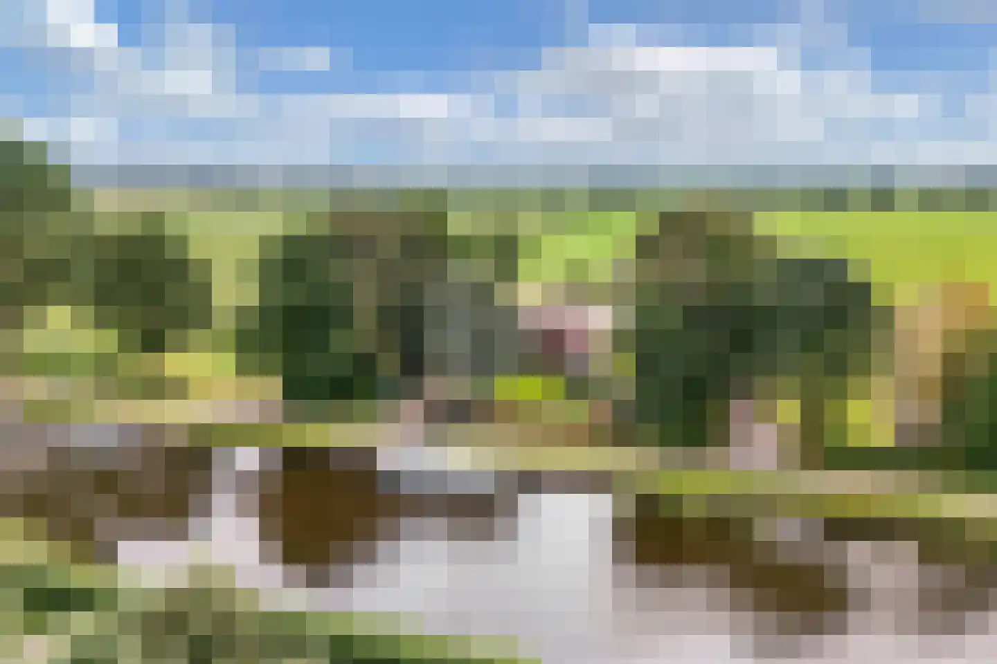 Steenwijkerdiep-Zuid 11 Scheerwolde thumbnail 93
