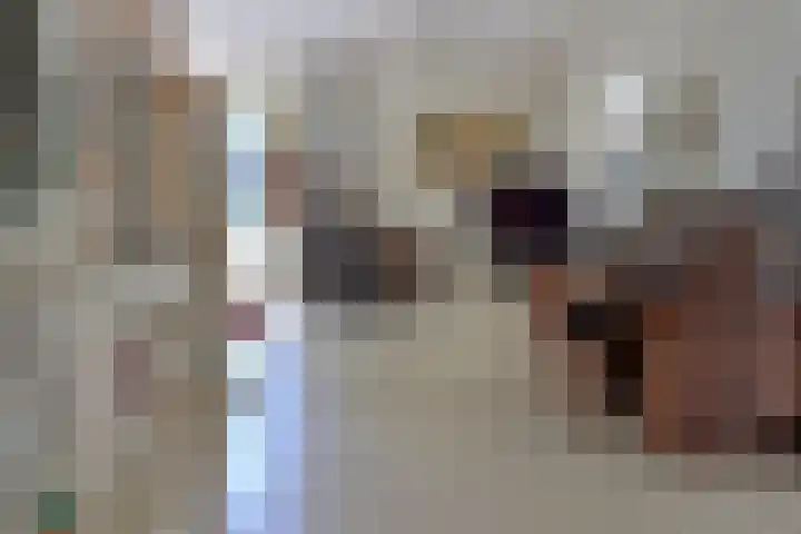 Steenwijkerdwarsweg 15 Marknesse thumbnail 11