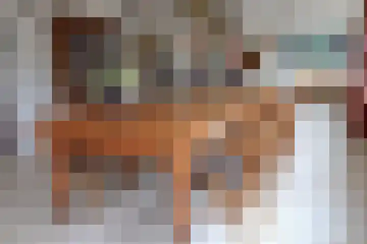 Steenwijkerdwarsweg 15 Marknesse thumbnail 15