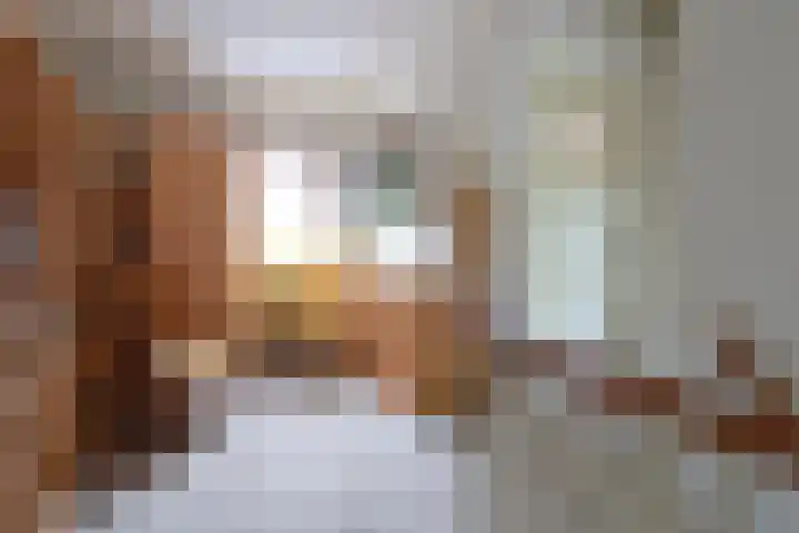 Steenwijkerdwarsweg 15 Marknesse thumbnail 19