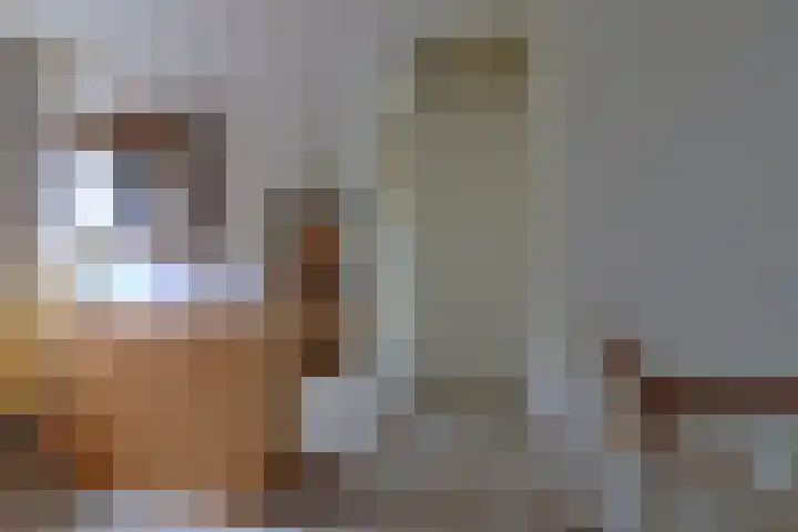 Steenwijkerdwarsweg 15 Marknesse thumbnail 20