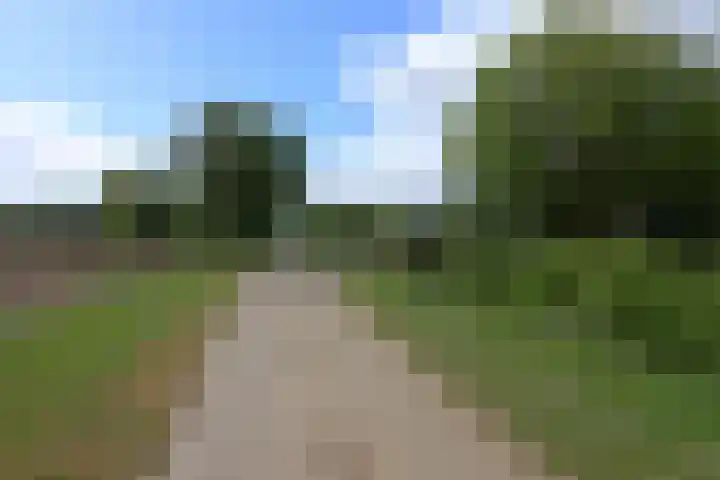 Steenwijkerdwarsweg 15 Marknesse thumbnail 25