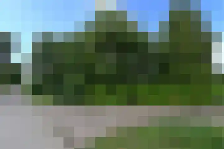 Steenwijkerdwarsweg 15 Marknesse thumbnail 27