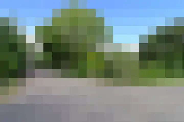 Steenwijkerdwarsweg 15 Marknesse thumbnail 28