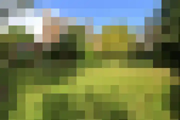 Steenwijkerdwarsweg 15 Marknesse thumbnail 30