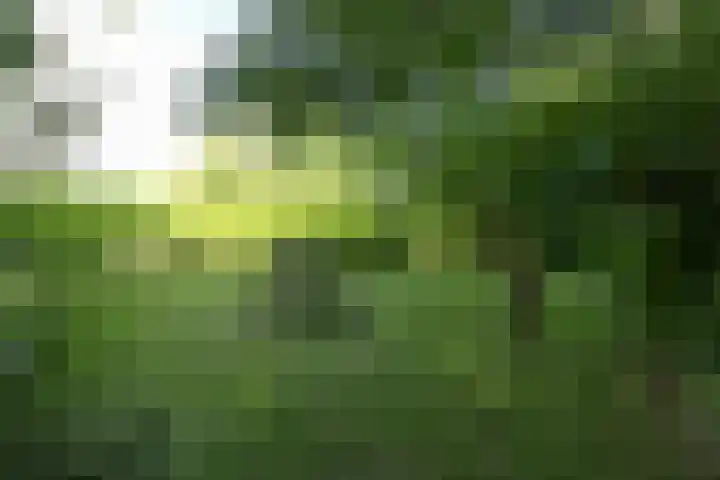 Steenwijkerdwarsweg 15 Marknesse thumbnail 31