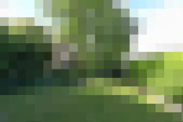 Steenwijkerdwarsweg 15 Marknesse thumbnail 32