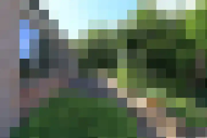 Steenwijkerdwarsweg 15 Marknesse thumbnail 36