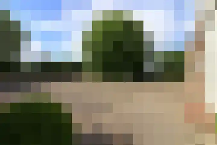 Steenwijkerdwarsweg 15 Marknesse thumbnail 37