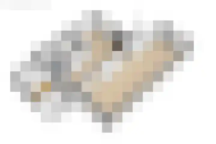 Steenwijkerdwarsweg 15 Marknesse thumbnail 41