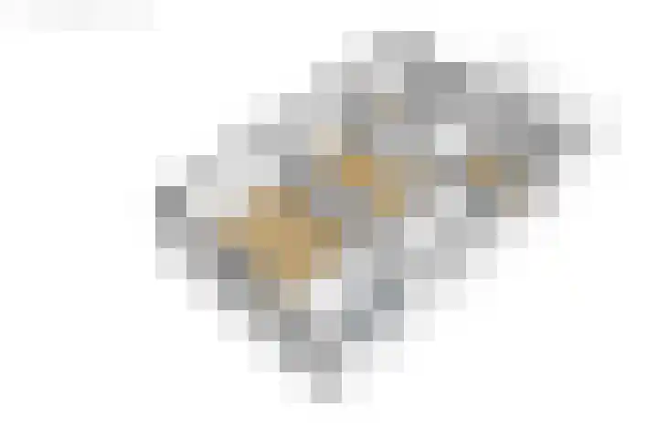 Steenwijkerdwarsweg 15 Marknesse thumbnail 43