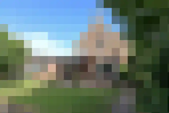 Steenwijkerdwarsweg 15 Marknesse thumbnail 5