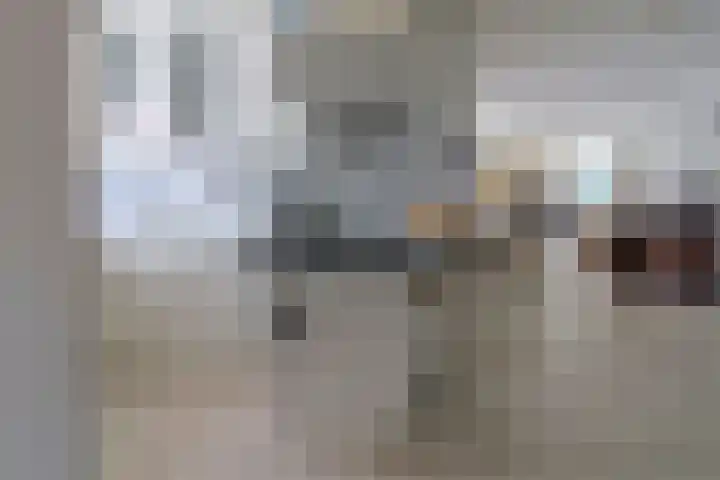 Steenwijkerdwarsweg 15 Marknesse thumbnail 7