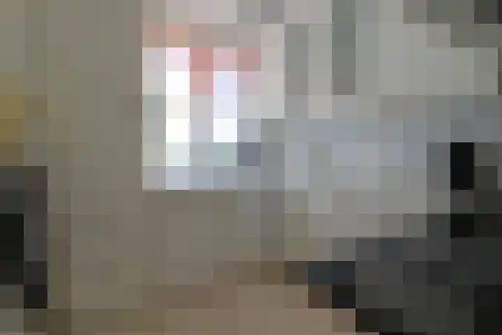 Steenwijkerdwarsweg 15 Marknesse thumbnail 8