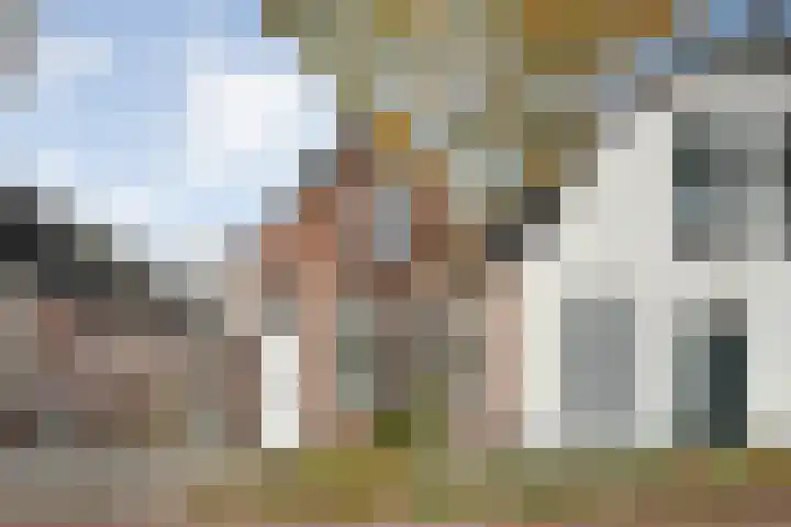 Steenwijkerstraatweg 4 Meppel thumbnail 5